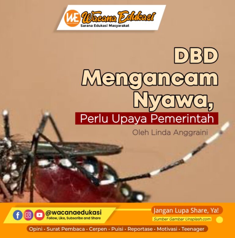 DBD Mengancam Nyawa Perlu Upaya Pemerintah Wacana Edukasi