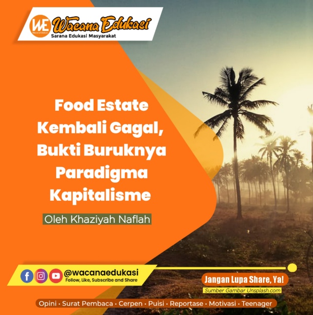 Food Estate Kembali Gagal, Bukti Buruknya Paradigma Kapitalisme ...