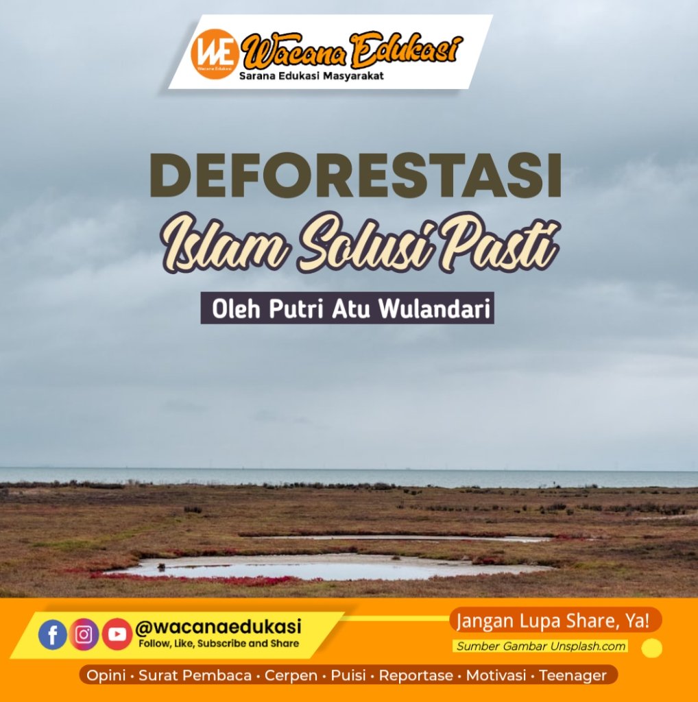 Deforestasi, Islam Solusi Pasti - Wacana Edukasi